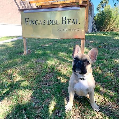 קולוניה דל סקרמנטו Fincas Del Real מראה חיצוני תמונה